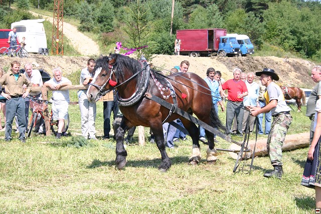 img00021.jpg